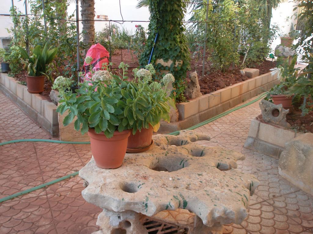 Hostal Los Rosales ألكاراز الغرفة الصورة